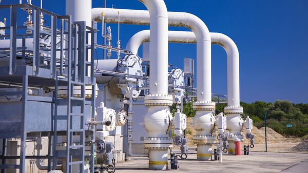 Центрально-европейский газовый хаб в Баумгартене