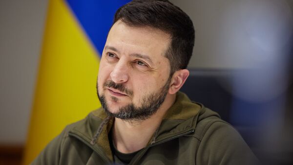 Президент Украины Владимир Зеленский 
